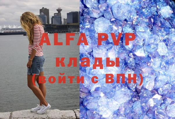 хмурый Верея