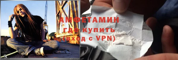 хмурый Верея