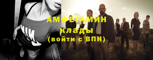 хмурый Верея