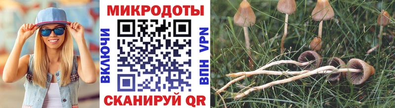 цена наркотик  Строитель  Псилоцибиновые грибы Psilocybe 